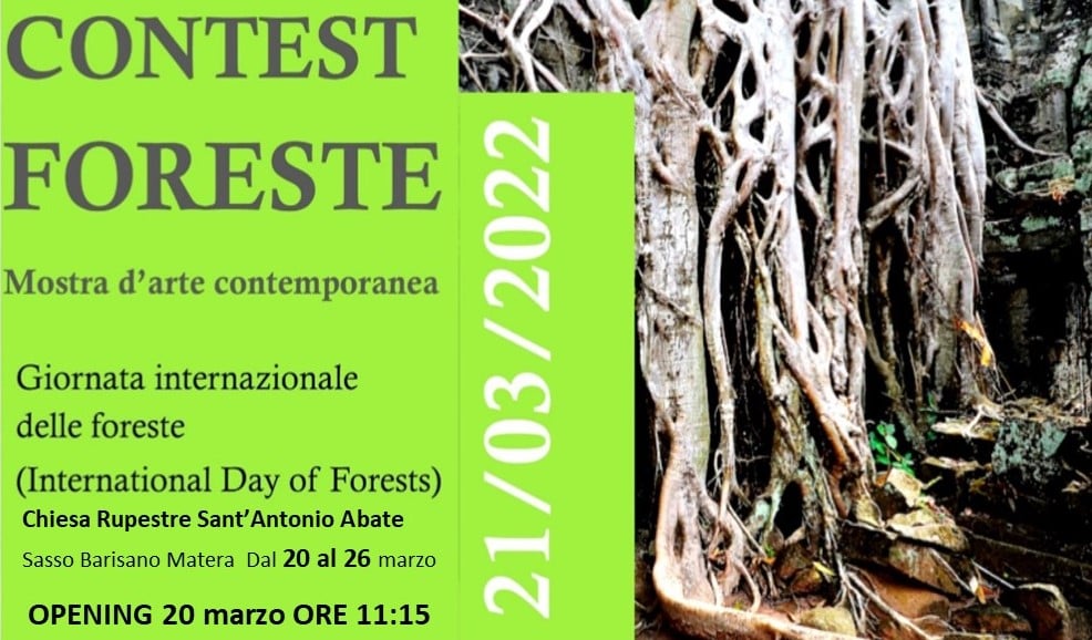 Foreste